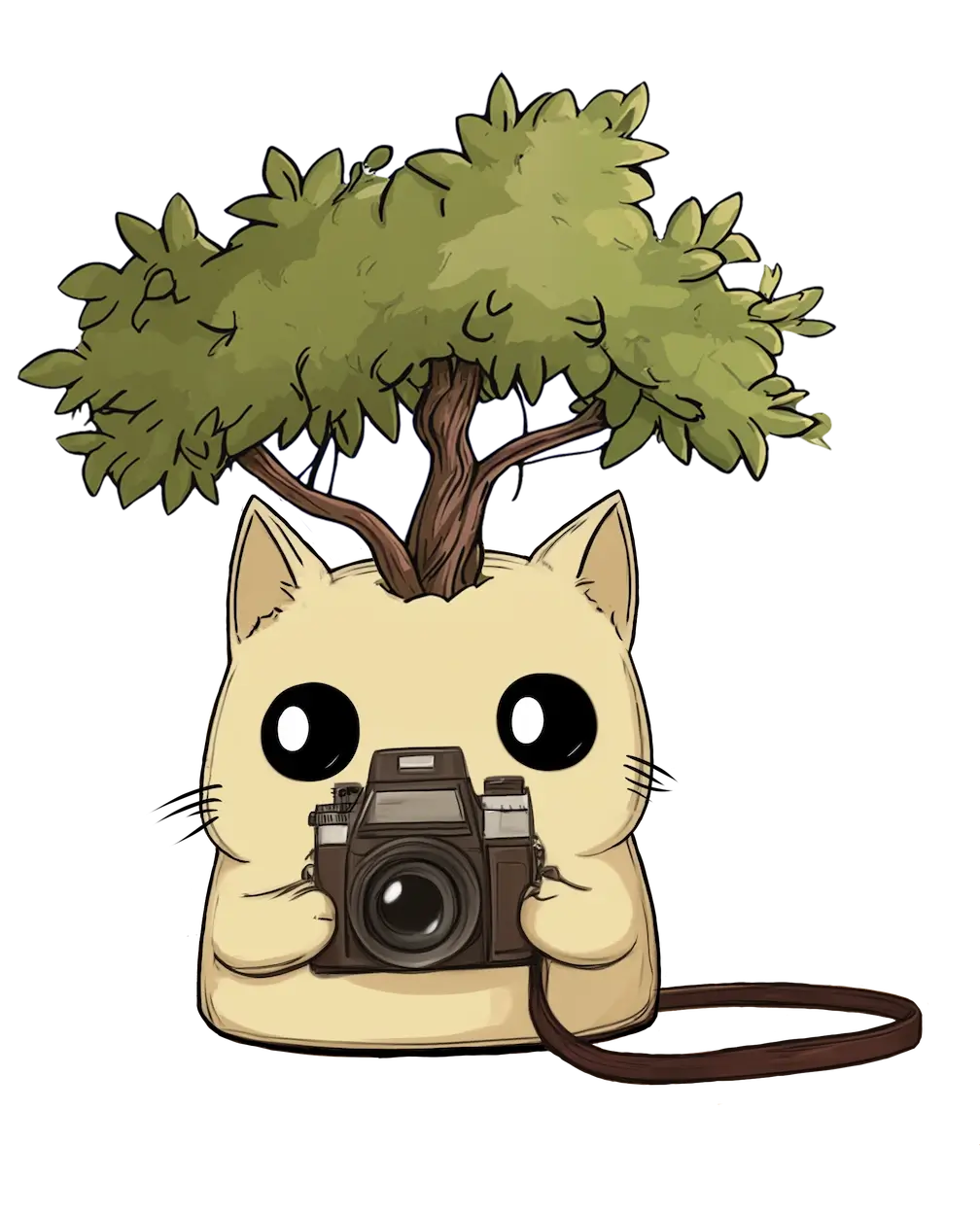 TIC with Camera